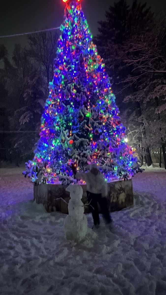 Фото автора. В парке также елочка наряжена