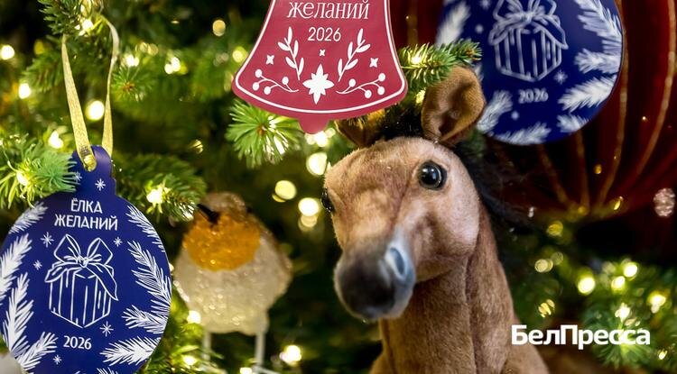 Фото: Павел Колядин