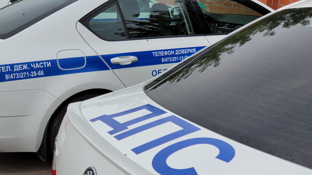     ДПС. Автор: Олег Петров. Фото: редакция.