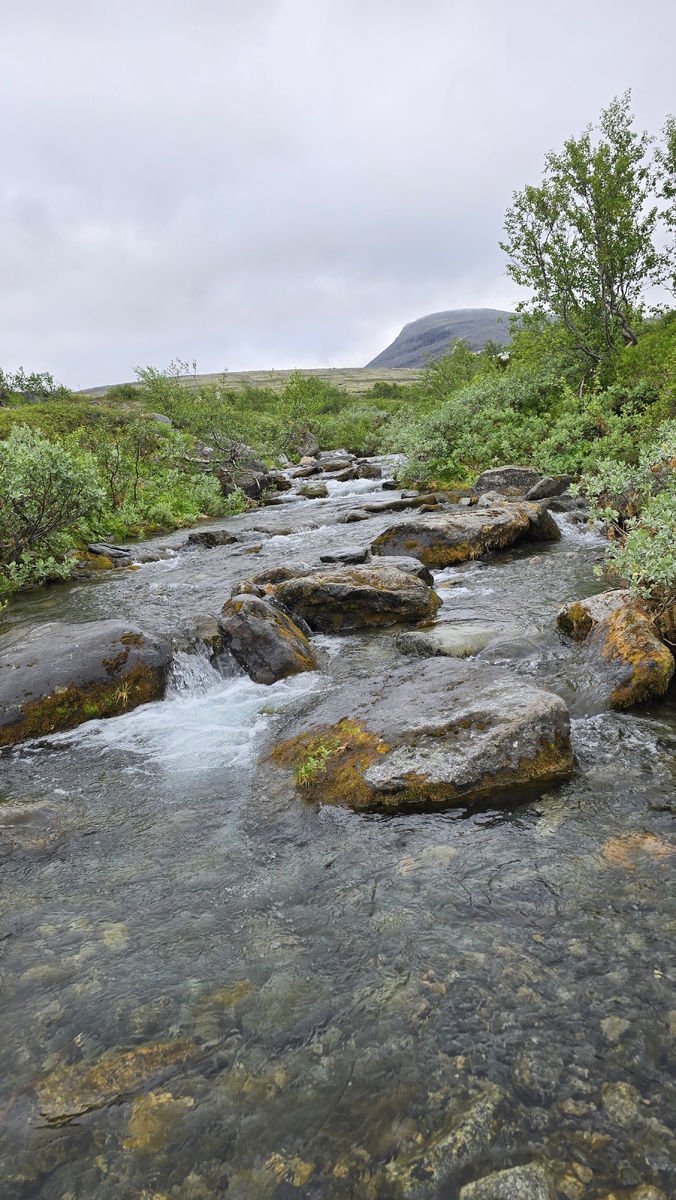 Холодная река