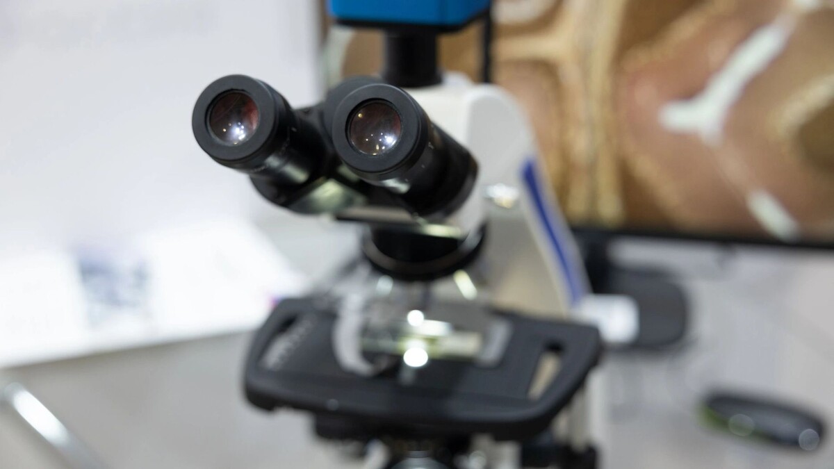    Фото: Федор Воронов / «Ямал-Медиа»