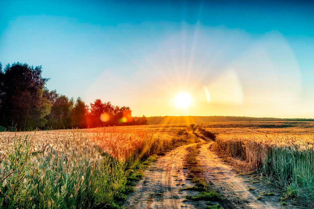Человек и погода. Солнечные дни делают человека счастливым. Фото авторов.