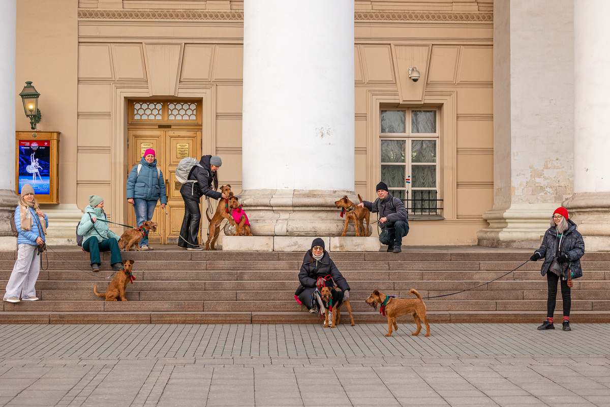 Авантюристы
