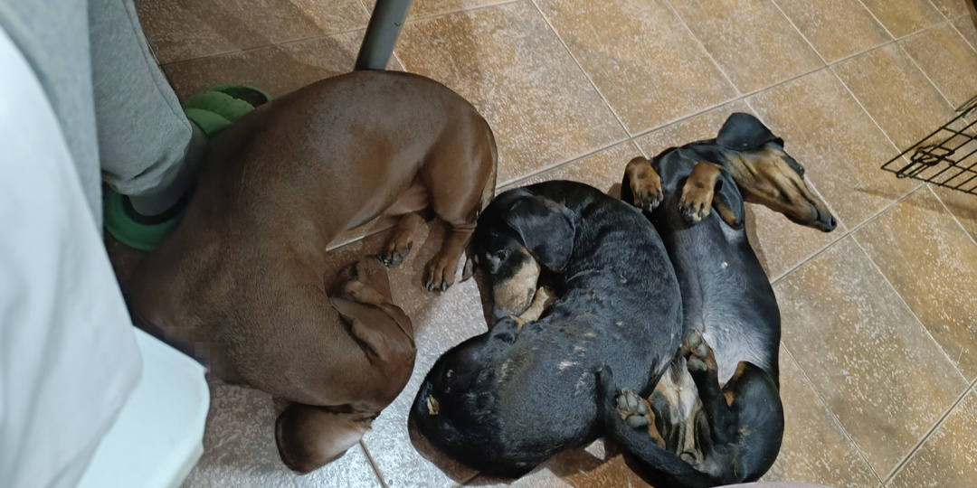 Всего неделя... Или 7