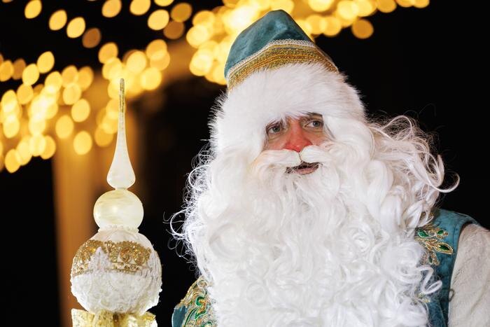 Дед Мороз на дом — цена. Фото © ТАСС / Сергей Елагин / Бизнес Online