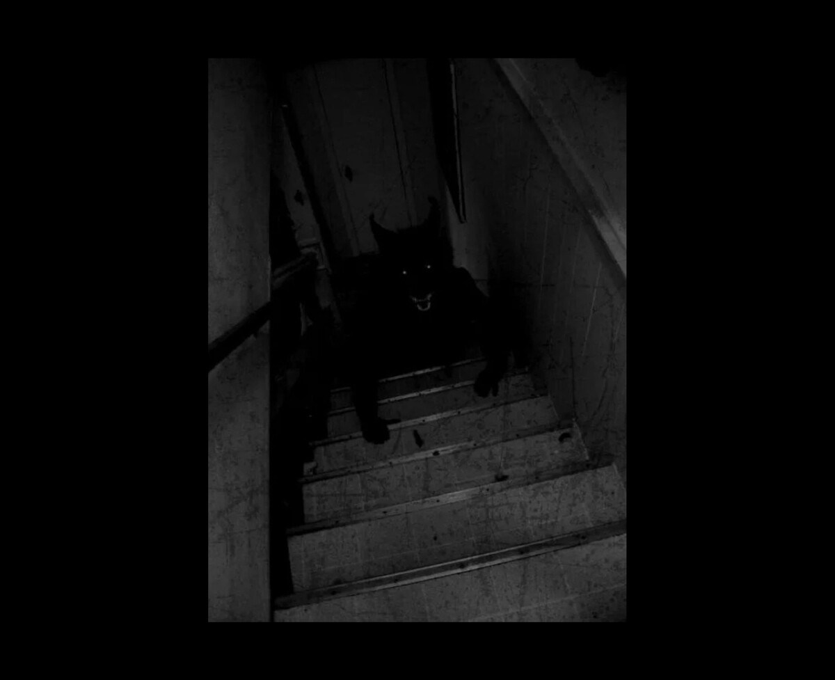 То самое фото