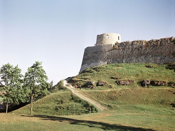    © РИА Новости Петренко