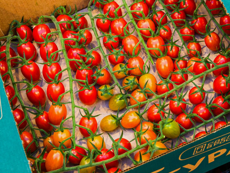    Фото: медиасток.рф