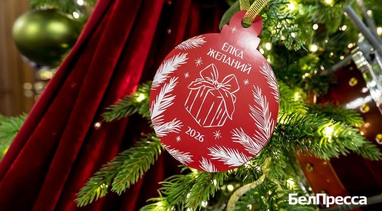 Фото: Павел Колядин