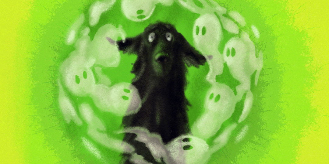 Кто плохой — я или собака?