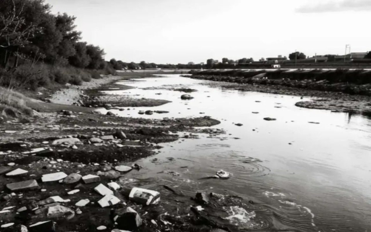    Суд обязал «Белоблводоканал» выплатить почти 130 млн рублей компенсации за вред реке Оскол Иллюстрация: нейросеть «Кандинский»