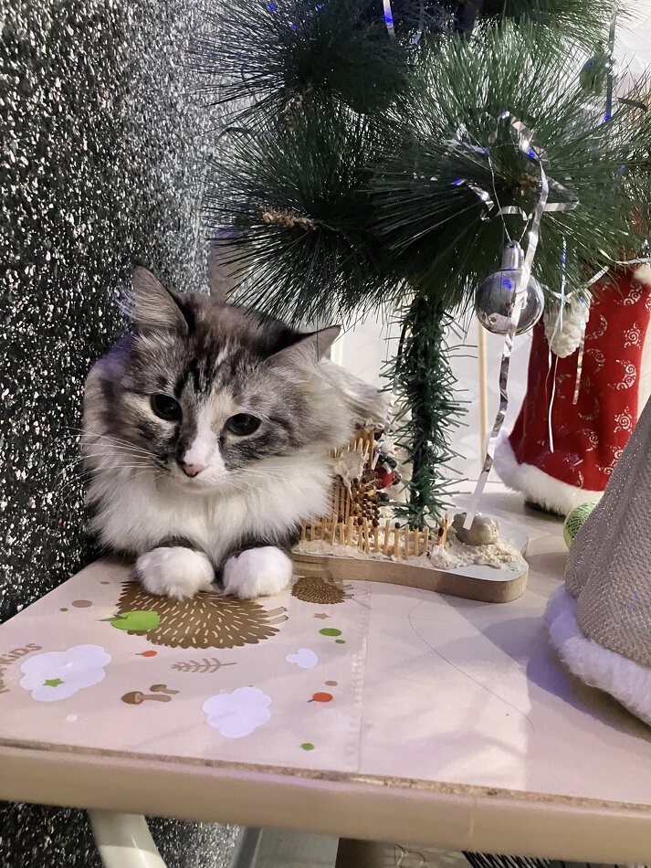 Психолог Зинаида Чистикова// Фотография из личного архива семьи Чистиковых