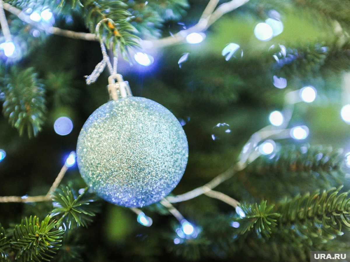     В Тюмени прошла «Первая елка Победы»