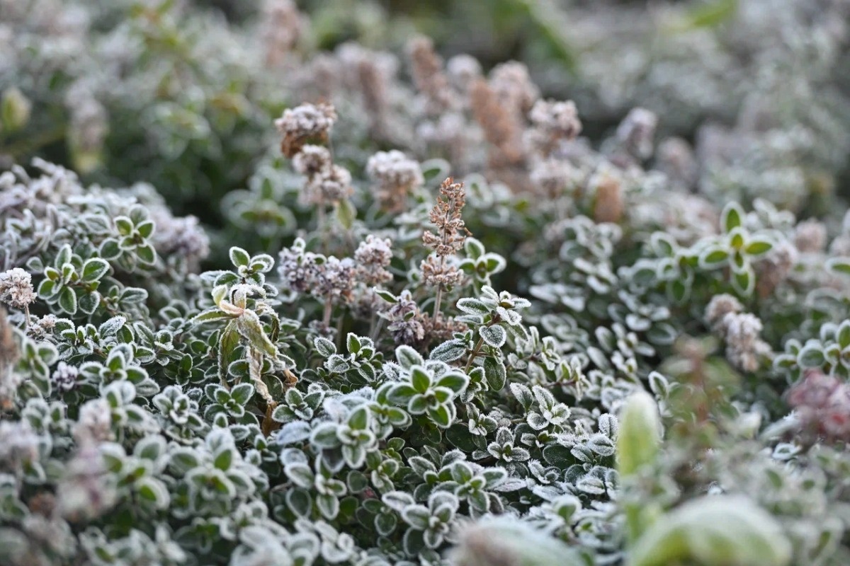    Фото: Анастасия Сибирякова