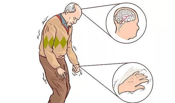    Фото: Частный пансионат «надежда»