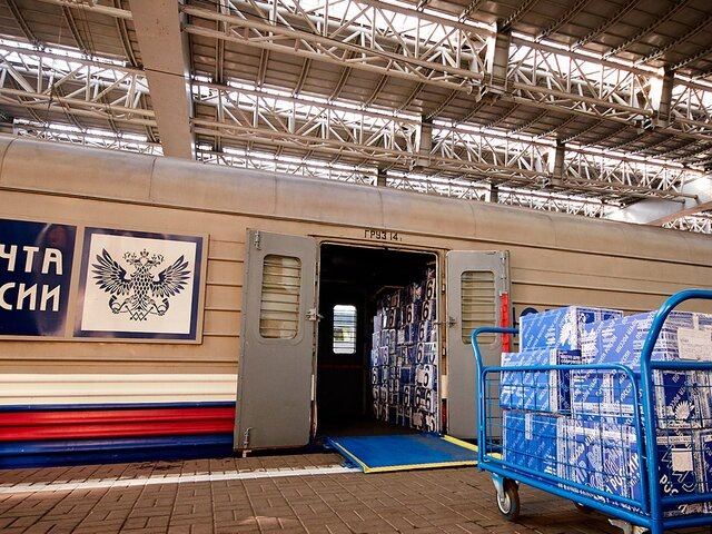    Фото: Москва 24/Александр Авилов