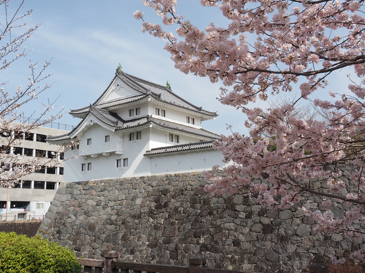 Замок Сумпу в Сидзуоке