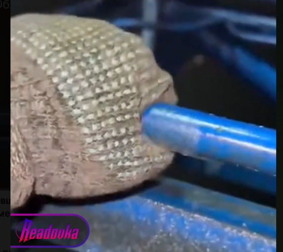    Кадр из видео. Скриншот: Телеграм-канал Readovka