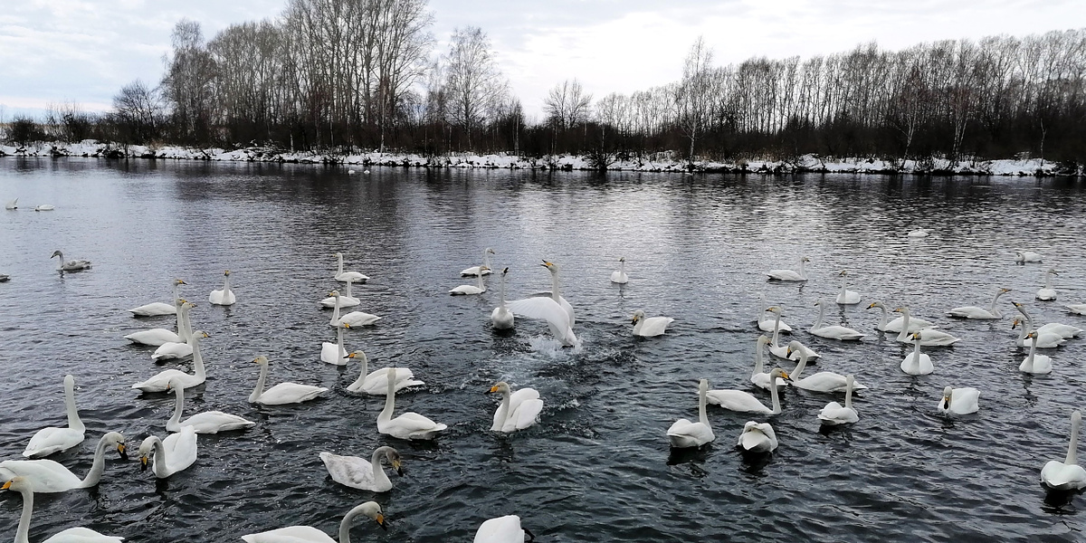 Озеро Светлое смотровая площадка заказника (Фото: Nixe (Bearna Team))