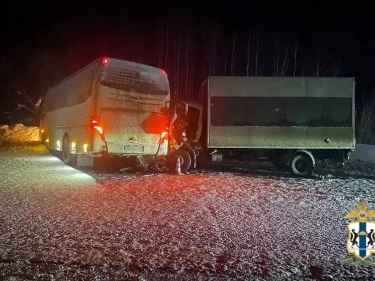     Фото: пресс-служба ГУ МВД России по Новосибирской области