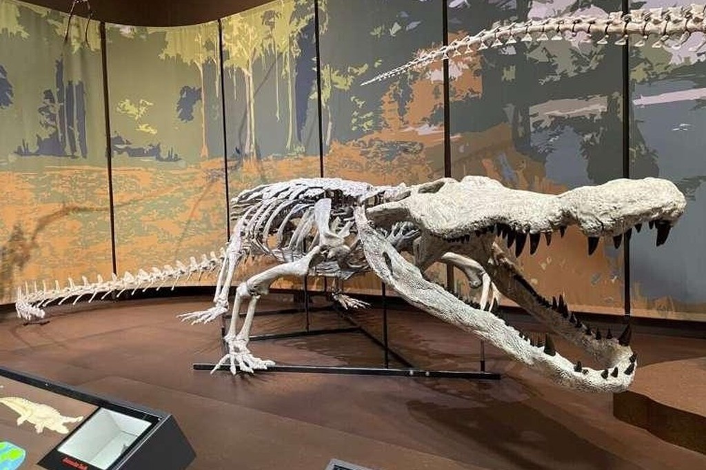    Фото © Tellus Science Museum