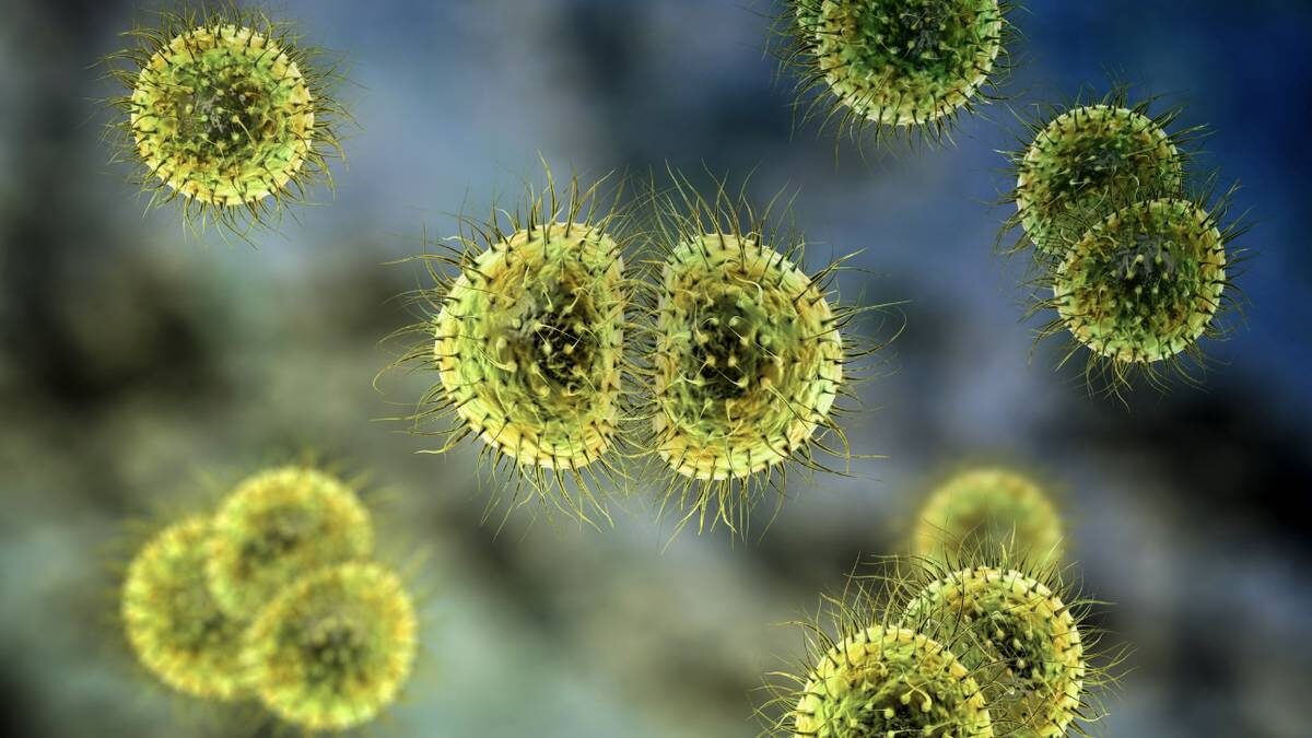    Фото: Shutterstock