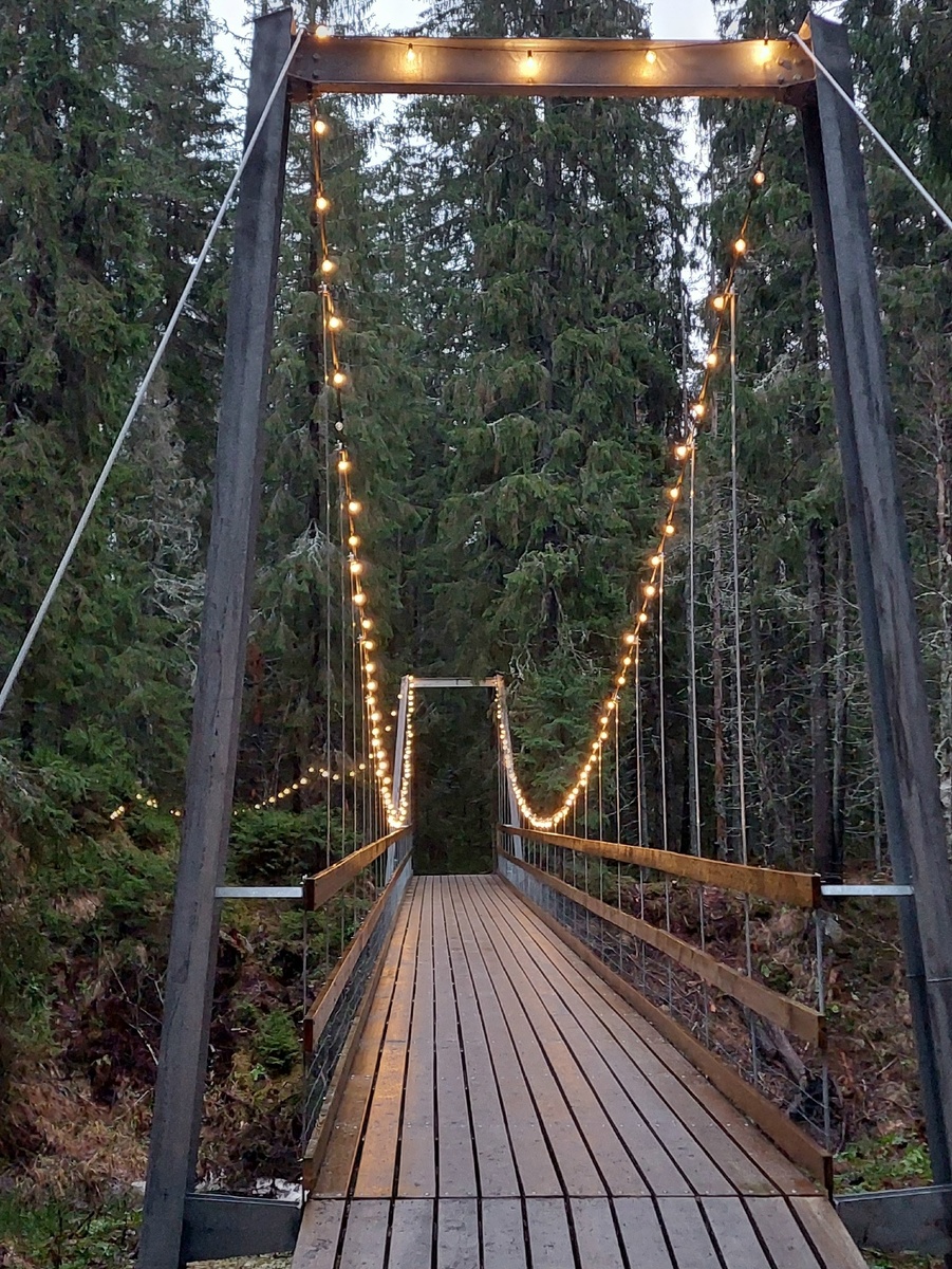 Подвесной мост на экотропе парка «Долина водопадов». →