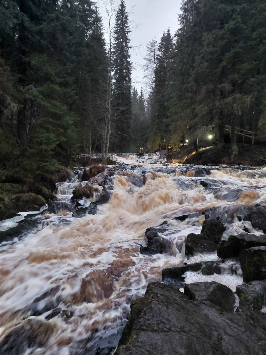 Каскад водопадов реки Иийоки. →