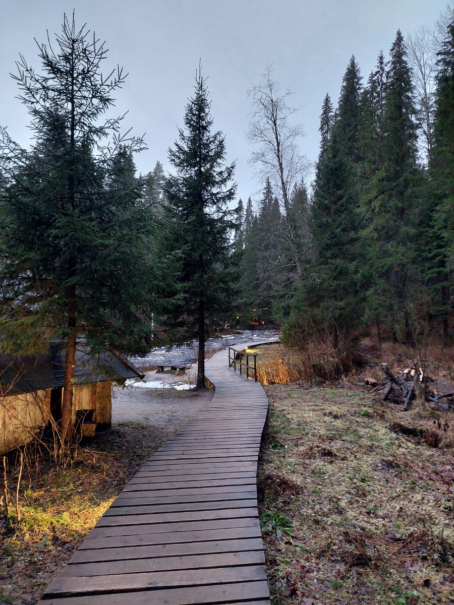 Большую часть маршрута сопровождают деревянные настилы. Фото автора. Листайте галерею, чтобы увидеть другие фото. →