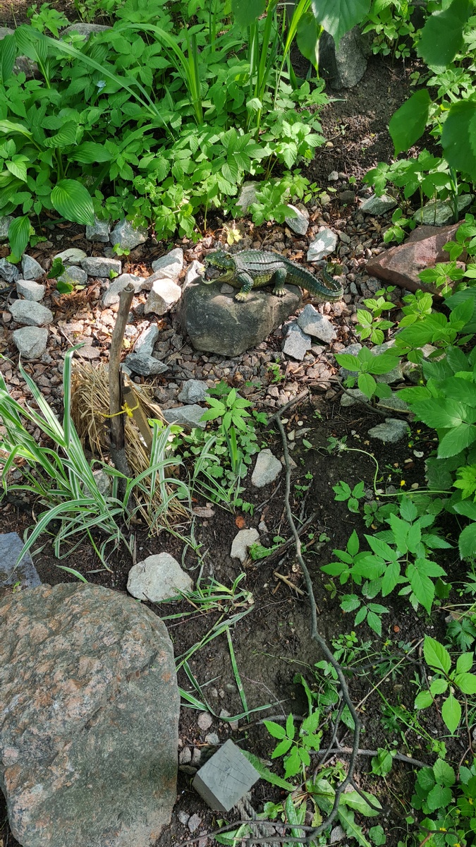 СПб  дино парк