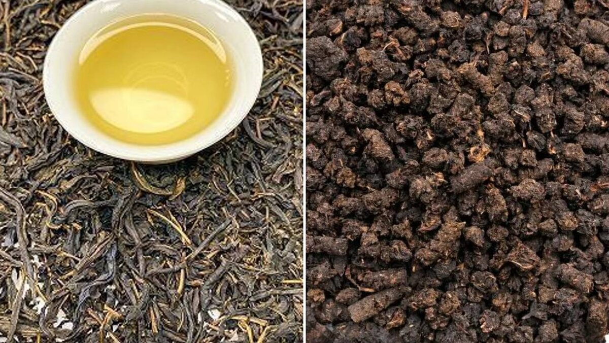 Листовой чай (слева) и гранулированный (справа)