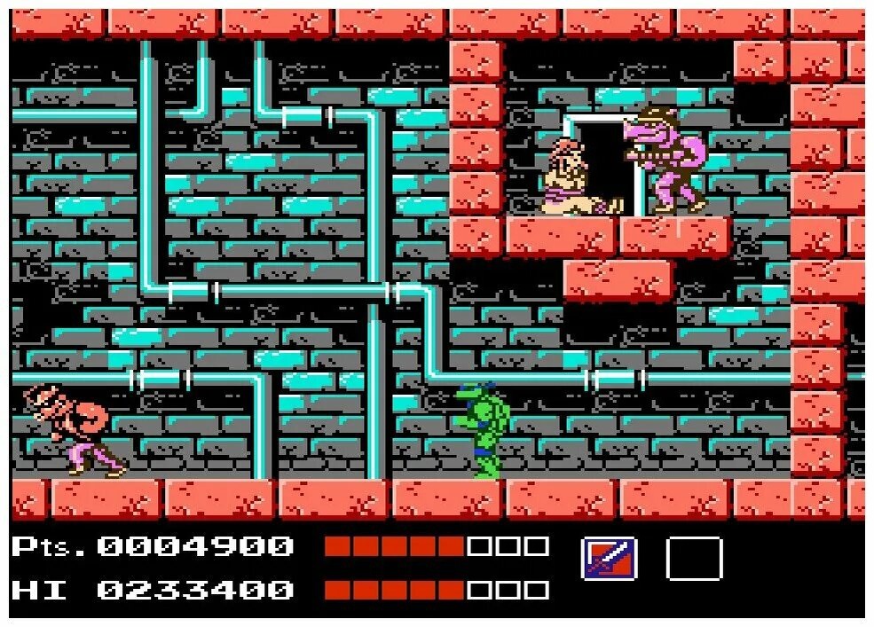 Teenage Mutant Ninja Turtles (1989)