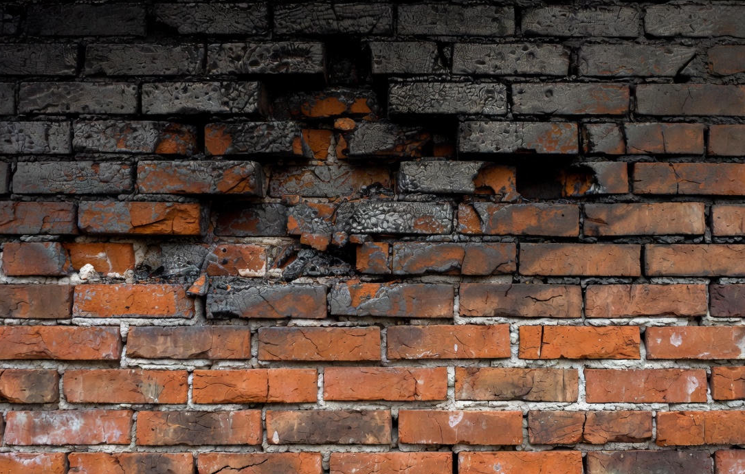 Фото: сгенерировано нейросетью / Ветренко Александра
