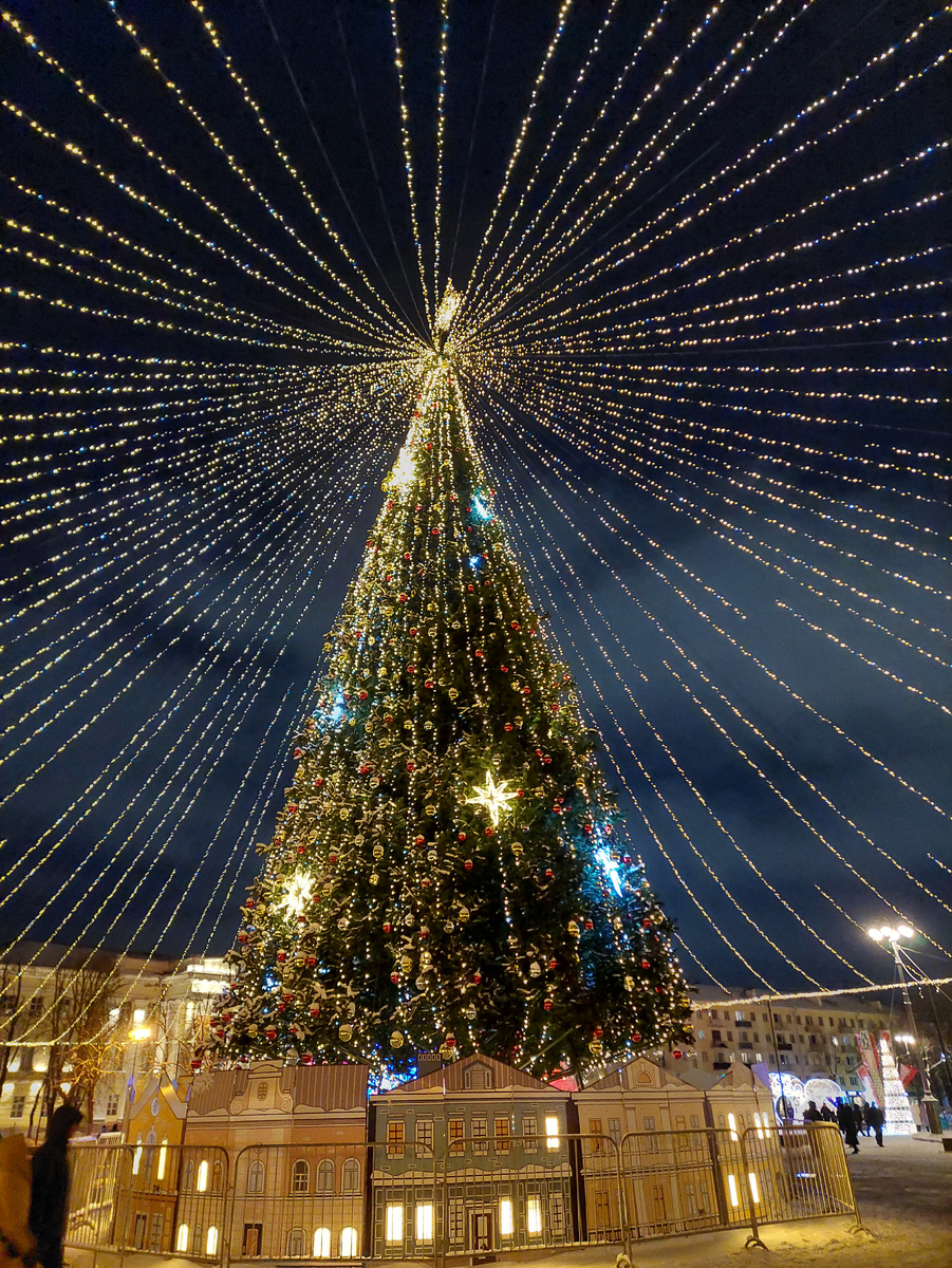 Главная ёлка Великого Новгорода на площади Победы-Софийской. Фото автора. 