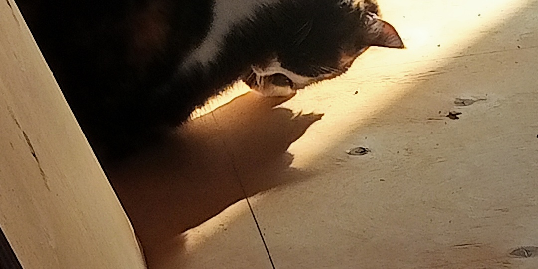 Фанеру перетаскала всю! И сегодня у нас зима