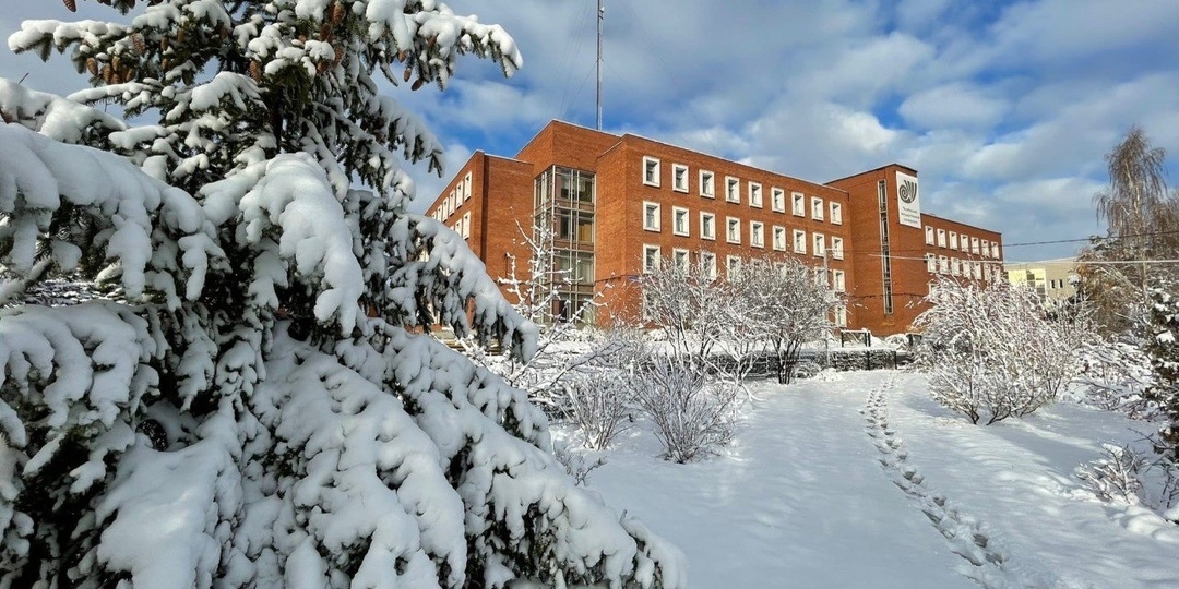 Наш семейный Новый год