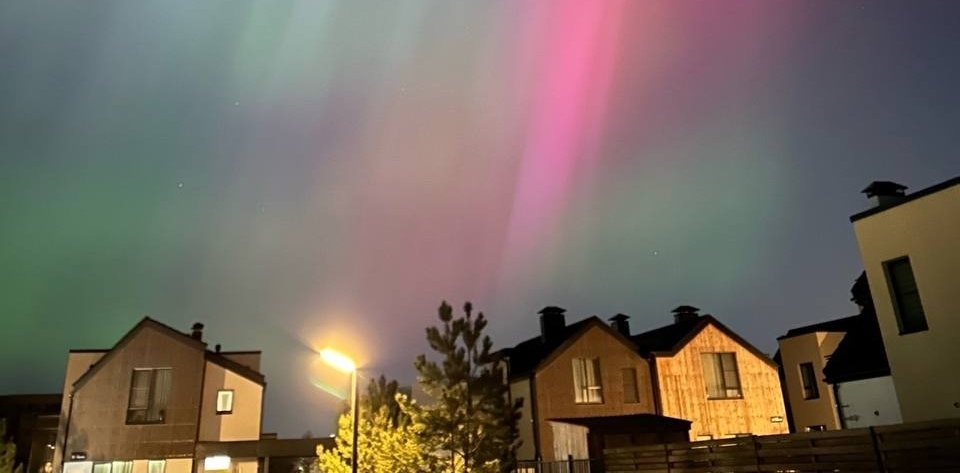 Наука Нового года