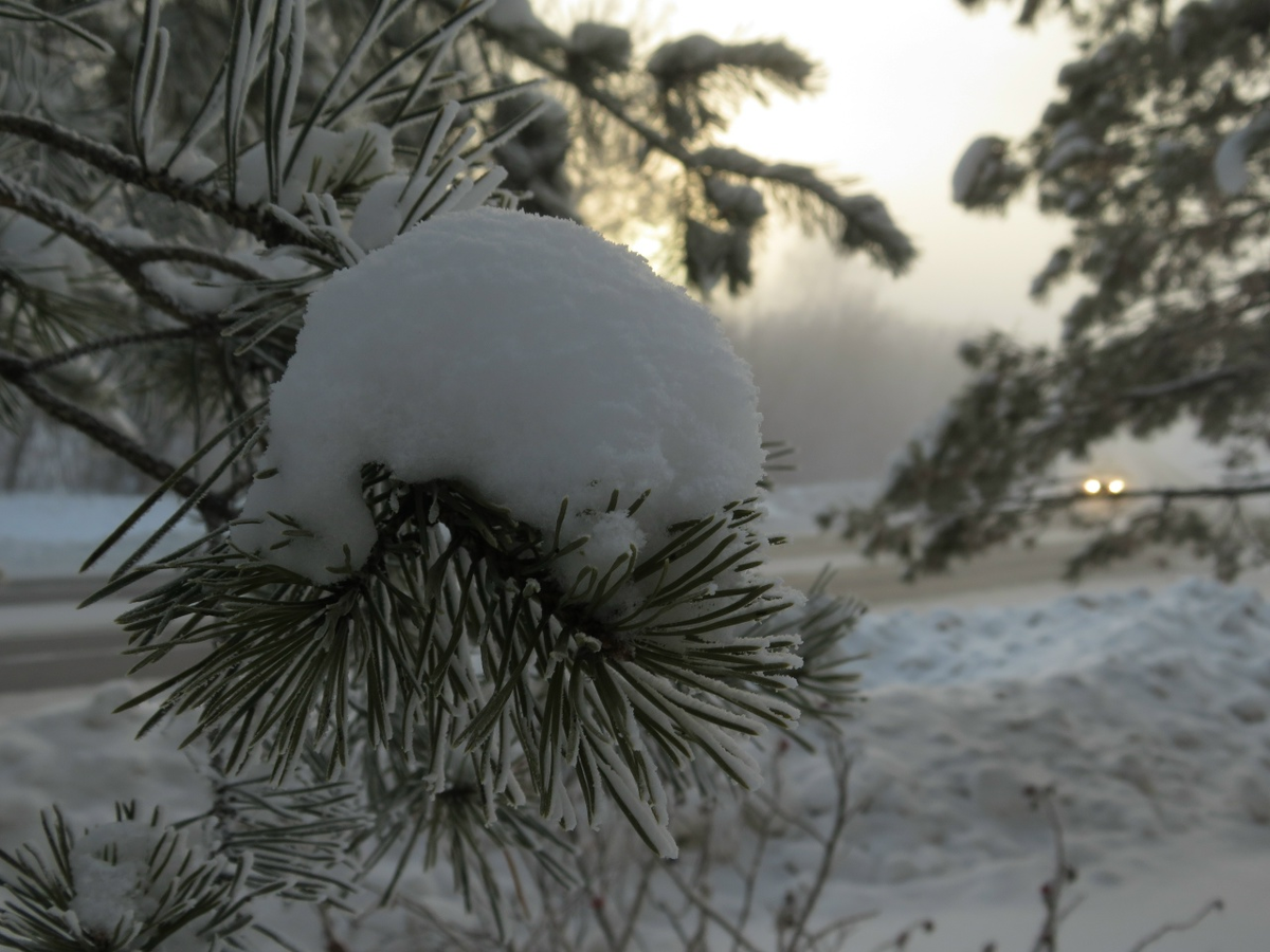 фото из интернета