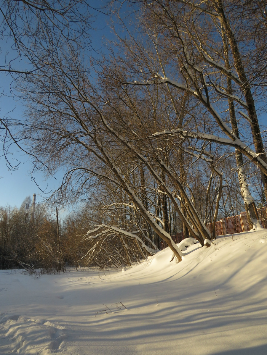 фото из интеренета