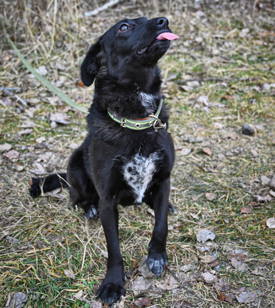 Всё схватываю на лету 