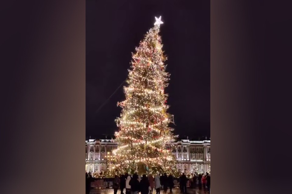    Сильный ветер качает елку на Дворцовой площади. Фото: соцсети