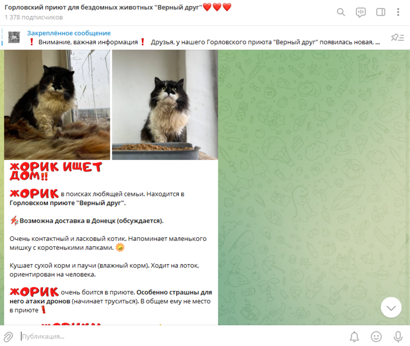 Пост о Жорике в нашем Телеграмм-канал: https://t.me/priyut_gorlovka