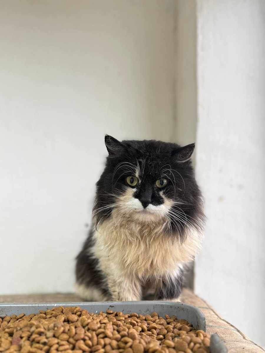 Жорик собственной персоной 