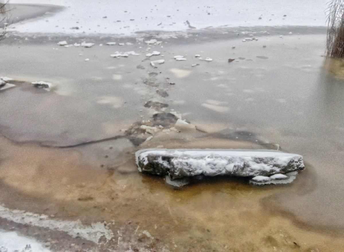 Пока единственная попытка попасть на лёд не удалась, увы... Не стали все же рисковать, так как принимать холодные и освежающие ванны в нашем возрасте уже не стоит )))