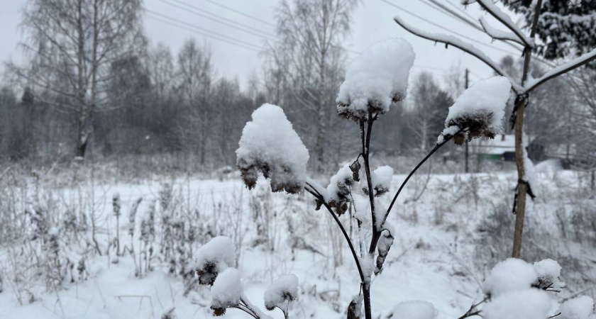    Фото из архива редакции