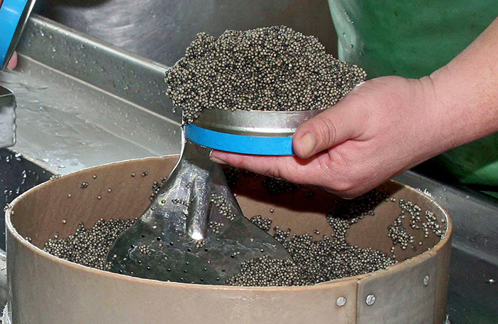     Анатолий Устиненко/ТАСС