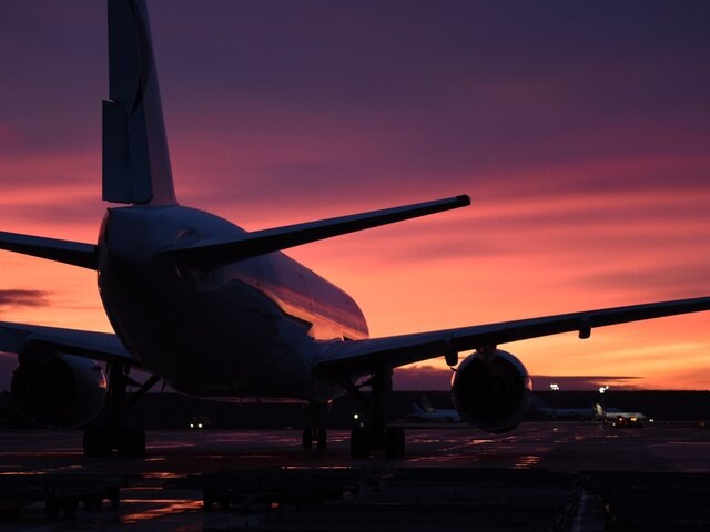    Фото: Москва 24/Никита Симонов
