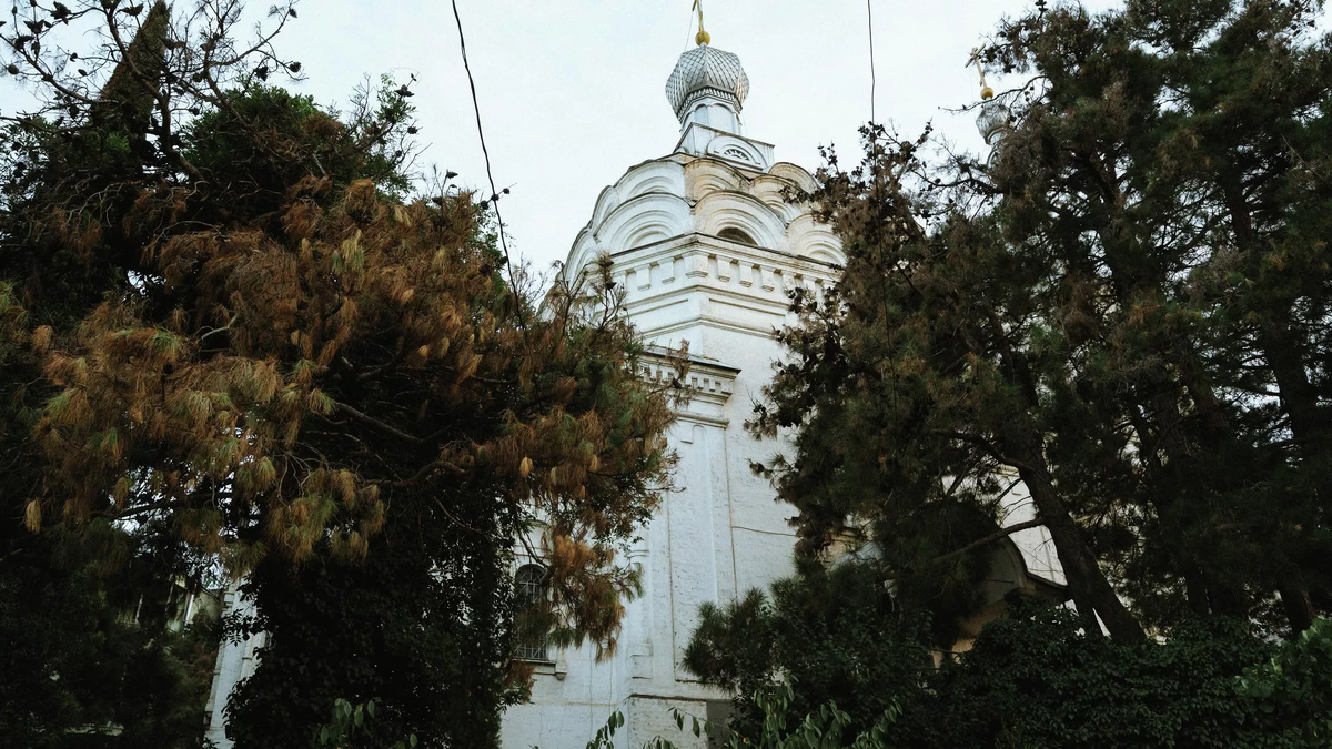 © photo: Sputnik / Stringer