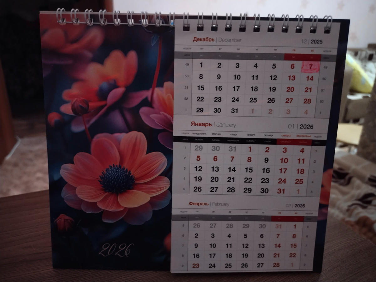 фото автора. Мой настольный календарь-мотиватор. День когда поставила себе новый эксперимент 😉 Цель - пешком спуск/подъем с 8 на 1 этаж и обратно (7.12.2025 время 17:05)
