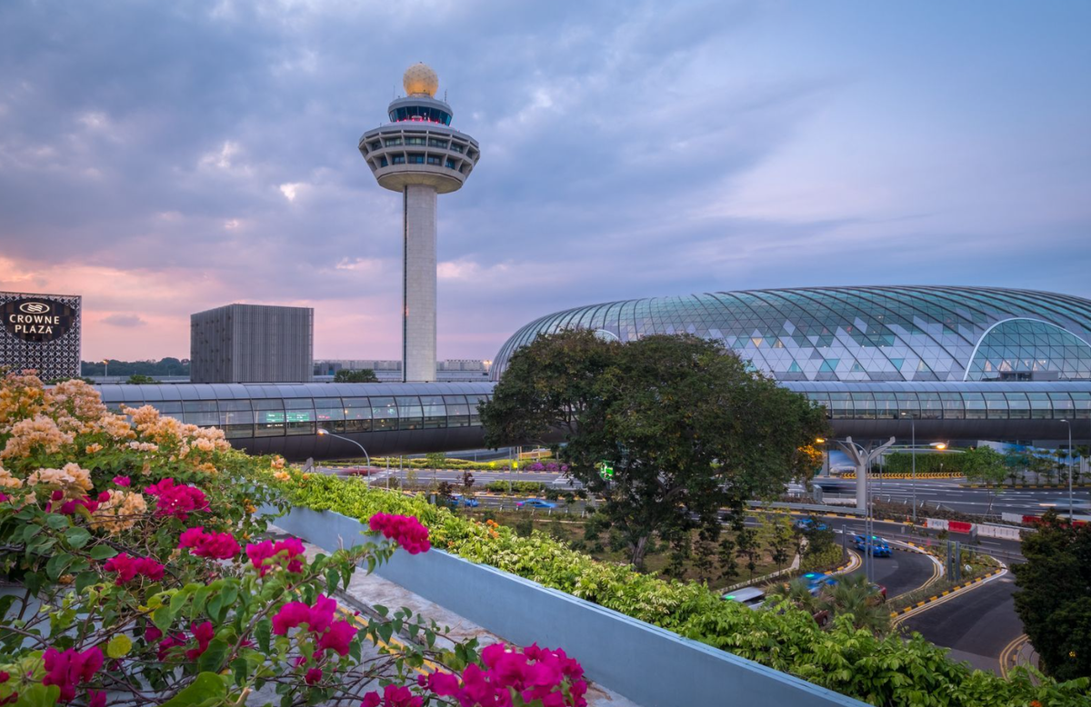 Аэропорт Чанги – один из красивейших в мире. (Фото: assets.architecturaldigest.in).